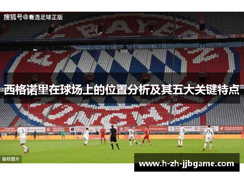 西格诺里在球场上的位置分析及其五大关键特点