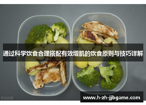 通过科学饮食合理搭配有效增肌的饮食原则与技巧详解
